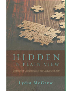 hidden-in-plain-view